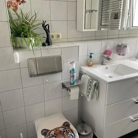 Moeblierte Fuer Geschaeftsreisen/ferienwohnung Stadtmitte